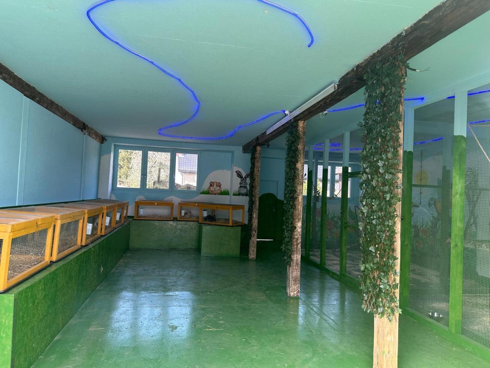 Agroturystyka Alpaka Konradow Apartment Konradow  Exterior photo